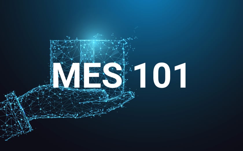 mes-101-graphic